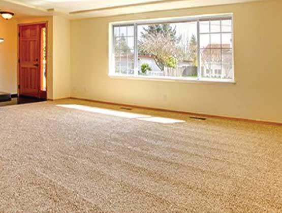 Best Carpet Cleaning Morningside