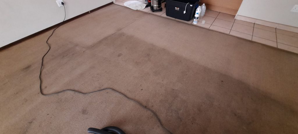 Traditional and Modern carpet  cleaning