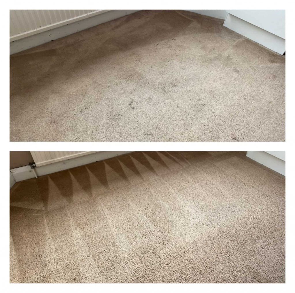 Carpet before and after effective mold removal service