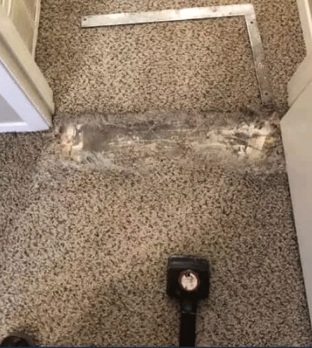 Carpet Repair Morningside