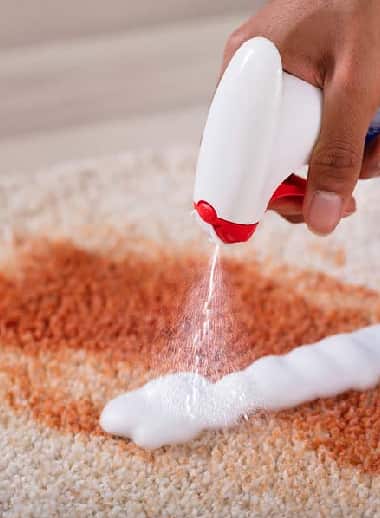 Rug Stains Cleaning